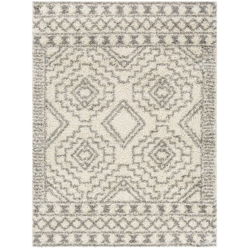 Surya Taza Shag TZS-2303 Area Rug