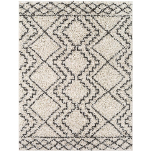 Surya Taza Shag TZS-2305 Area Rug