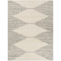 Surya Taza Shag TZS-2310 Area Rug