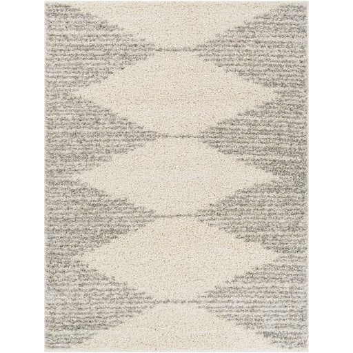 Surya Taza Shag TZS-2310 Area Rug