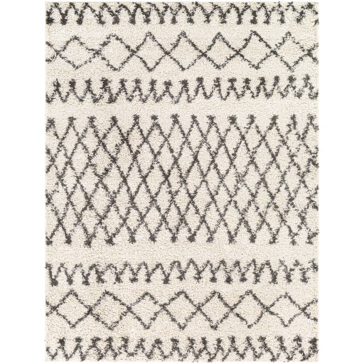 Surya Taza Shag TZS-2316 Area Rug