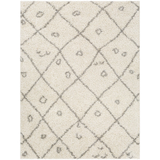 Surya Taza Shag TZS-2317 Area Rug