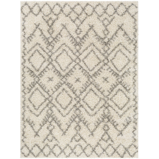 Surya Taza Shag TZS-2326 Area Rug