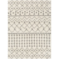 Surya Taza Shag TZS-2338 Area Rug