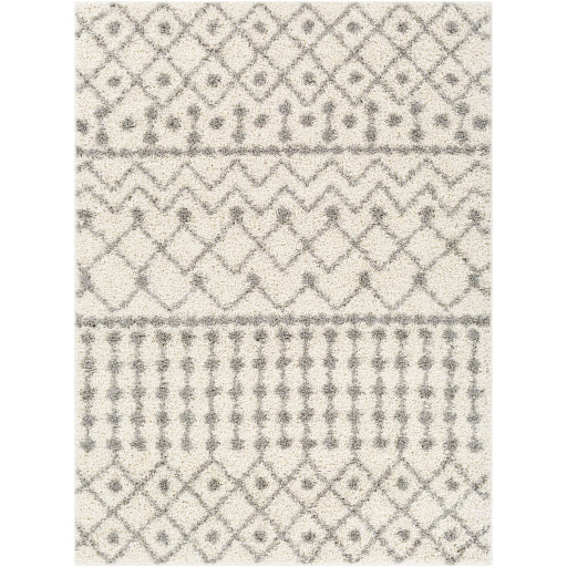 Surya Taza Shag TZS-2338 Area Rug