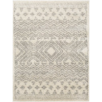 Surya Taza Shag TZS-2342 Area Rug