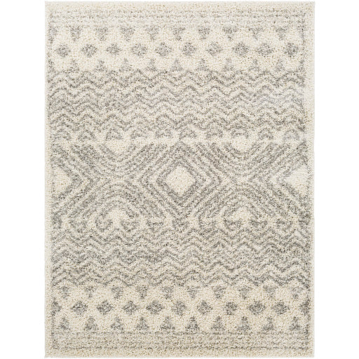 Surya Taza Shag TZS-2342 Area Rug