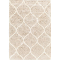 Surya Urban Shag USG-2320 Area Rug