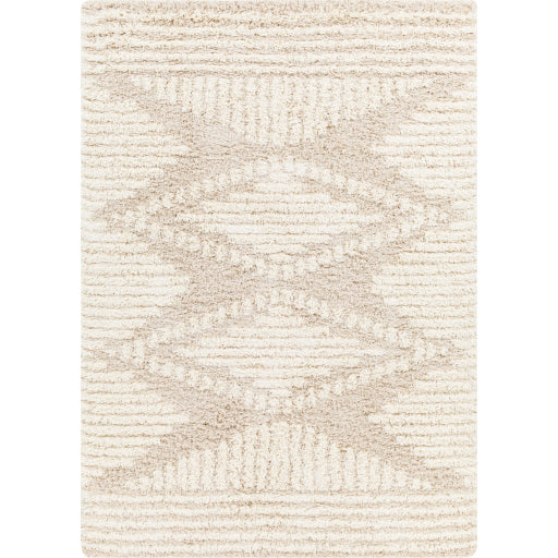 Surya Urban Shag USG-2326 Area Rug