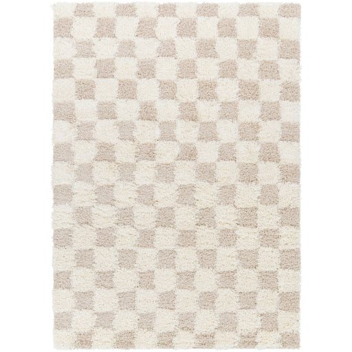 Surya Urban Shag USG-2350 Area Rug