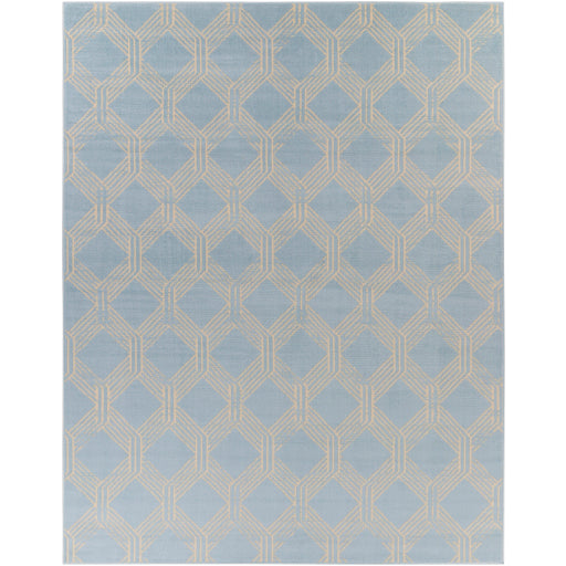 Surya Ustad UST-2322 Area Rug