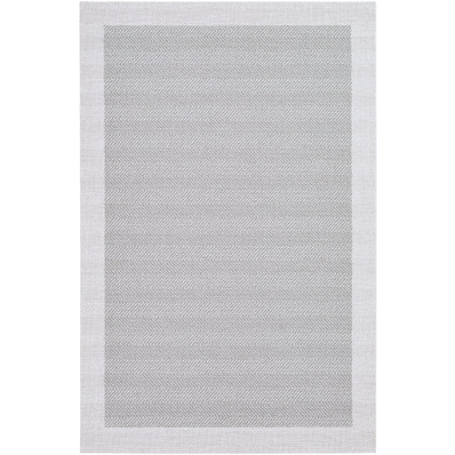 Surya Vinilo VNL-2300 Area Rug