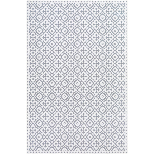 Surya Vinilo VNL-2312 Area Rug