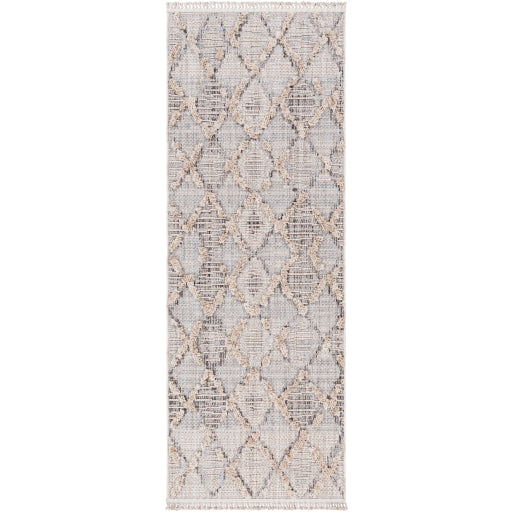 Surya Zaragoza ZRZ-2311 Area Rug